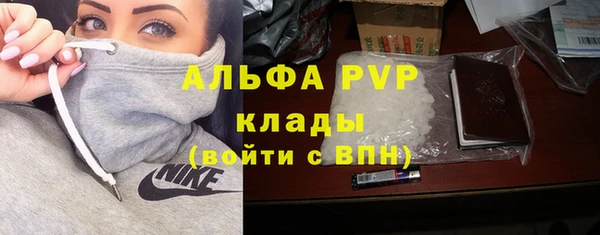 стафф Арсеньев