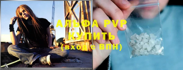 стафф Арсеньев