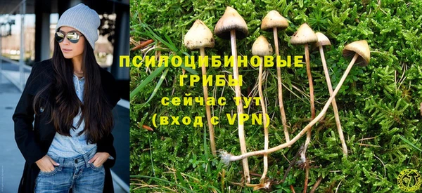 а пвп мука Аркадак