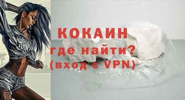 стафф Арсеньев