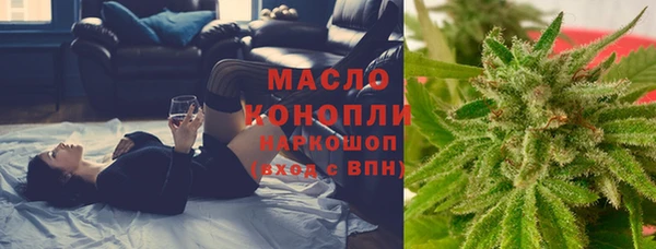стафф Арсеньев