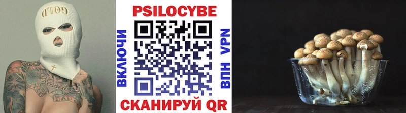 Псилоцибиновые грибы GOLDEN TEACHER  Шахты 