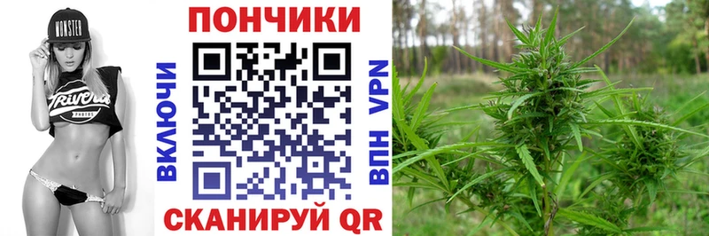 Марихуана план  Шахты 